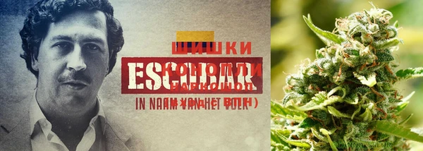 дистиллят марихуана Верхнеуральск