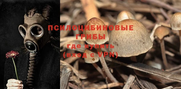 a pvp Верея