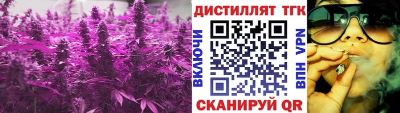 Купить закладки  Киселёвск  Дистиллят ТГК THC oil 